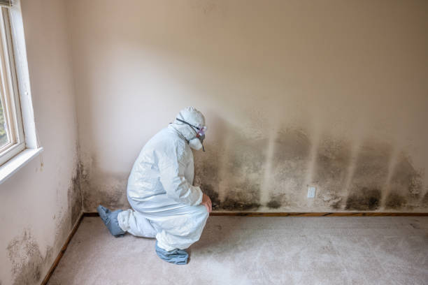 Best Biohazard Mold Removal  in USA